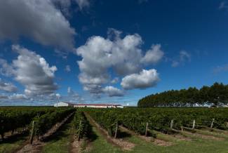 An in-depth agenda is planned, ranging from grapevine trunk disease to undervine cover crops.  