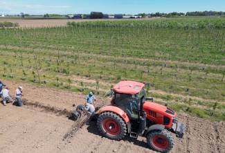 Photo by Jeff Tribe. 