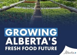 Ranking fourth in Canada, Alberta’s 195 greenhouses are ramping up to produce more.