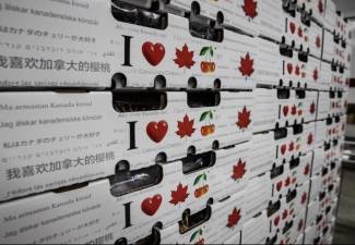 Photo courtesy of Global Fruit. 