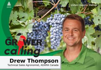Drew Thompson, ADAMA, discusses Folpan 80 WDG