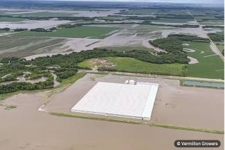 Vermillion Growers, Dauphin, Manitoba 