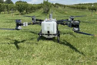 Drone pictured in demonstration at Ontario Hazelnut Association field day.  