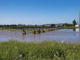 Niagara’s farmers are an integral part of the community, contributing to the identity of the region. 