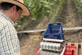 Green Harvest, a premier grower in Mexico, is adopting the HarvestHold Fresh sheets in cucumbers. 