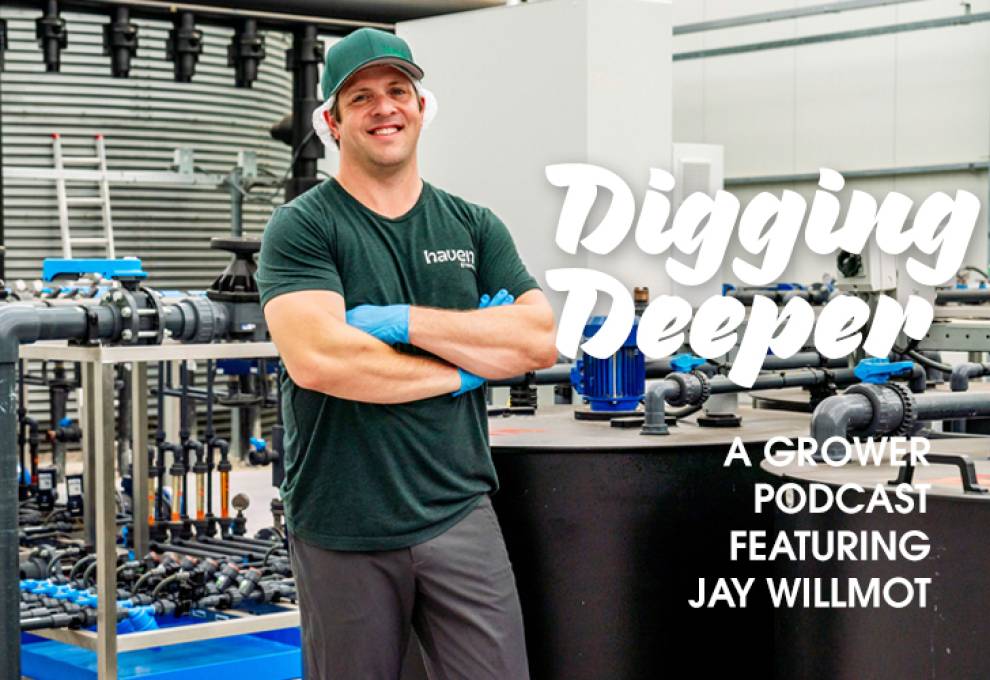 Jay Willmot, CEO, Haven Greens,  has built a five-acre facility at King City, Ontario, that produces greenhouse-grown lettuce.