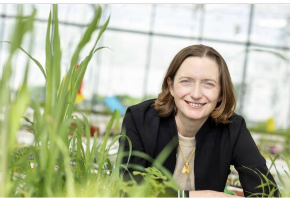 Moa Technology CEO Dr Virginia Corless in the company's glasshouse research facility in North Yorkshire, England. Photo by Gary Brown.