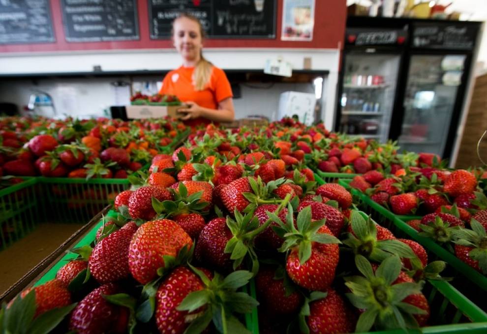 Workplace Safety & Prevention Services will be working with Agritourism Ontario to promote safer workplaces.