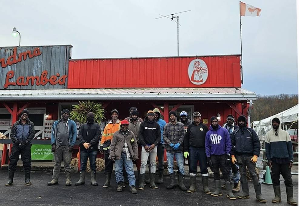 Seventeen Jamaican farm workers are stranded in Meaford, Ontario after their flights home were cancelled in anticipation of Hurricane Melissa. Their employer, Grandma Lambe's, is helping to raise money. Photo by Steph Lambe.