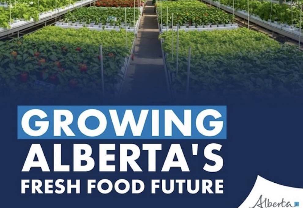 Ranking fourth in Canada, Alberta’s 195 greenhouses are ramping up to produce more.