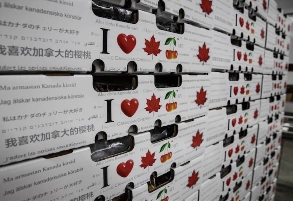 Photo courtesy of Global Fruit. 