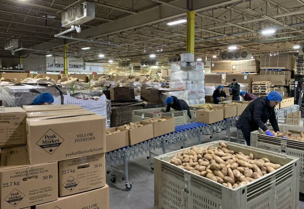 Packing parties take place in the Peak of the Market warehouse. Volunteers from various nonprofits and local businesses help pack the produce into boxes throughout the year