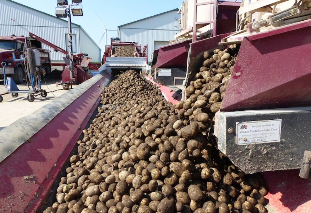 Photo courtesy of Eugenia Banks.