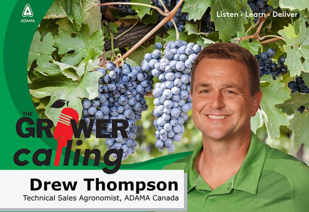 Drew Thompson, ADAMA, discusses Folpan 80 WDG