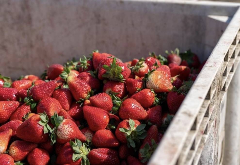 The California senator has introduced six bills to expand support and market access in the next U.S. Farm Bill.