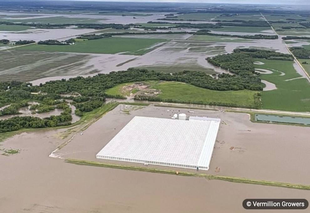 Vermillion Growers, Dauphin, Manitoba 