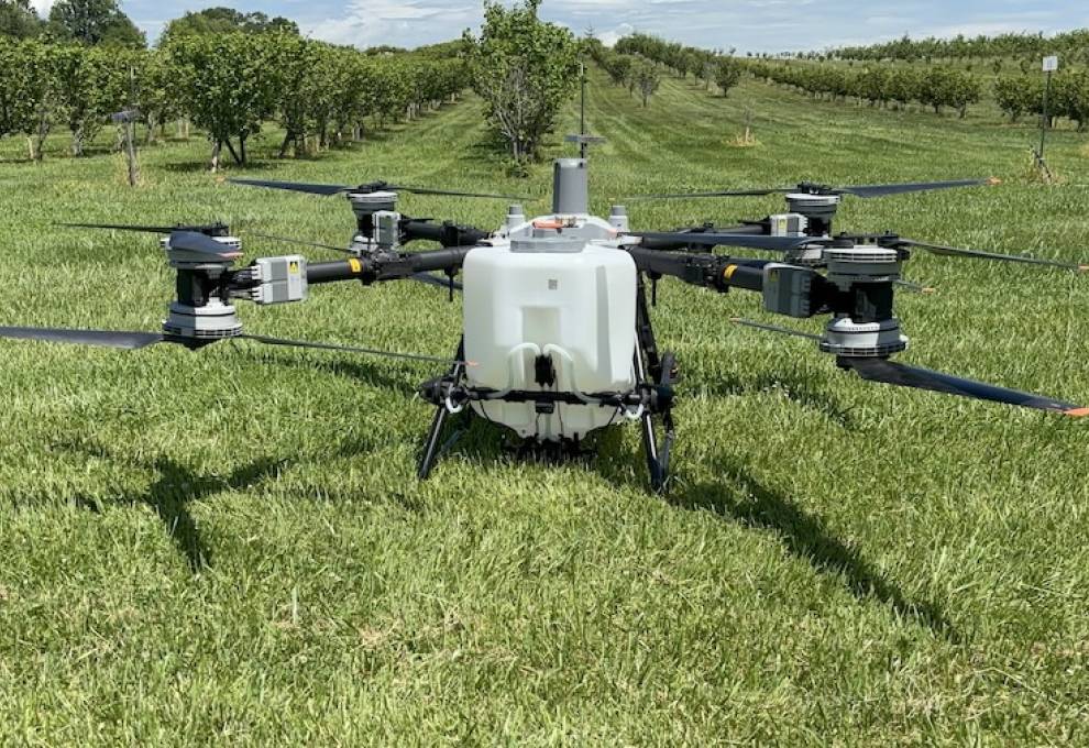 Drone pictured in demonstration at Ontario Hazelnut Association field day.  