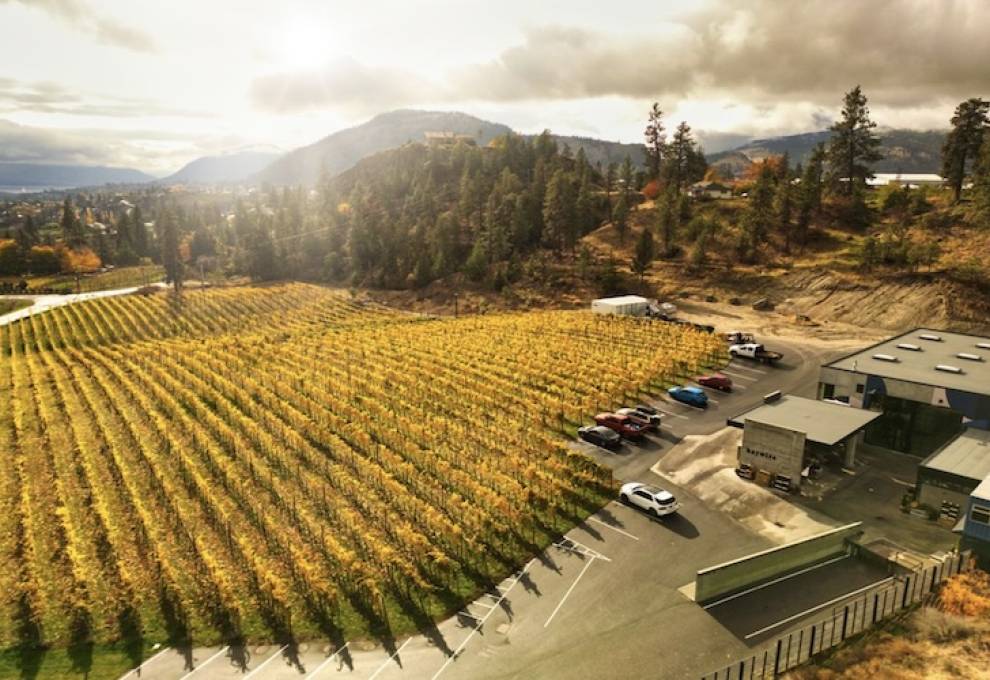Haywire Winery and Switchback Vineyard. Photo by Lionel Trudel