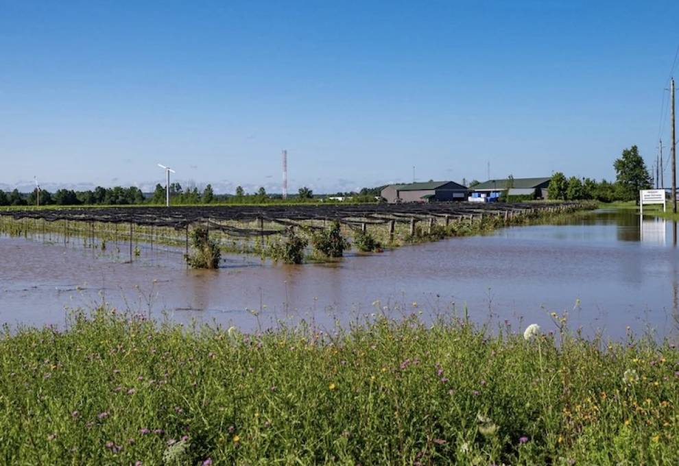 Niagara’s farmers are an integral part of the community, contributing to the identity of the region. 