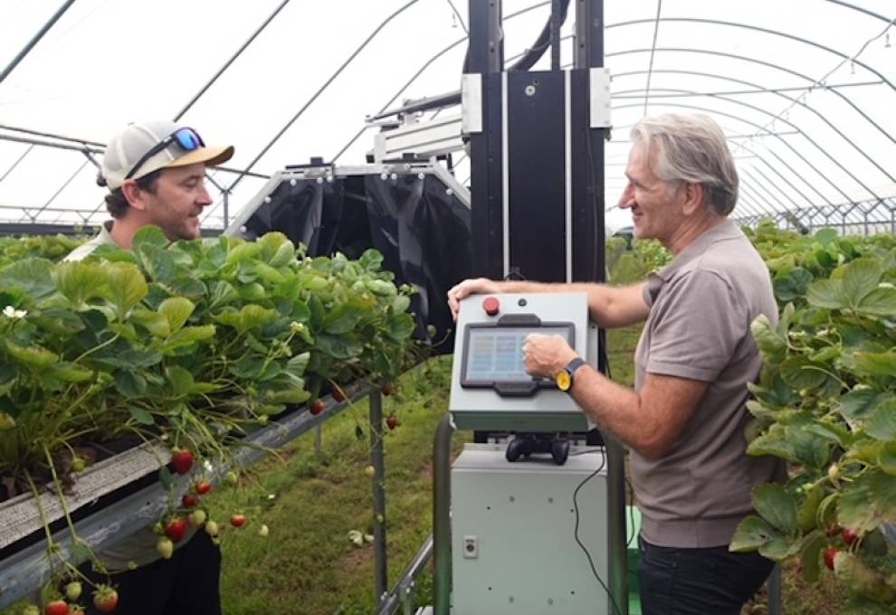 Berry grower Kevin Howe (left) discusses progress of field trials at his Aylmer, Ontario farm with Konrad Konnerth, CEO of KONNEXIO.