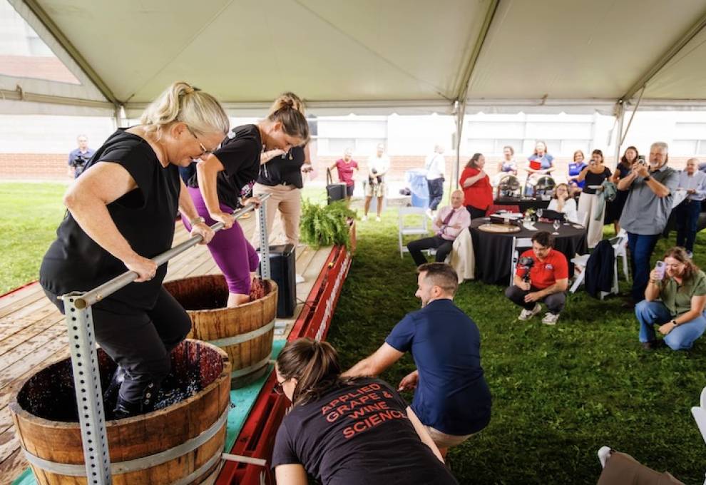 Brock University Cool Climate Oenology and Viticulture Institute (CCOVI) director Debbie Inglis (left) competes in a celebratory grape stomp against Augusta Van Muyen, vineyard manager at Tawse Winery and Niagara’s reigning Grape King for 2025-26, during CCOVI’s 30th anniversary event on Wednesday, Sept. 2. 