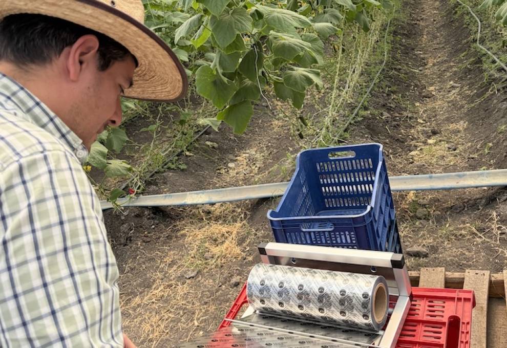 Green Harvest, a premier grower in Mexico, is adopting the HarvestHold Fresh sheets in cucumbers. 