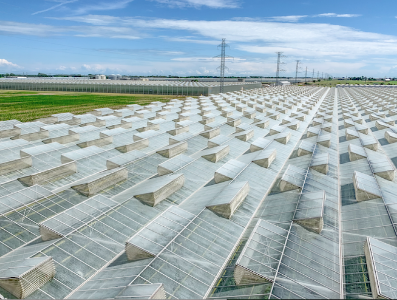 NATURE FRESH FARMS