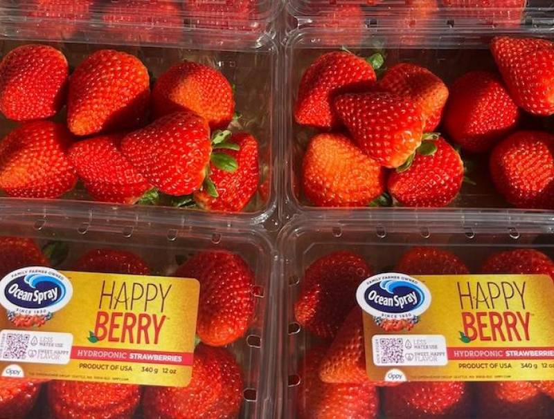 Strawberries