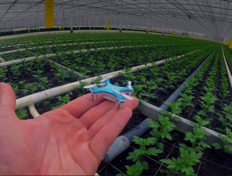 Fruit Logistica indoor drones