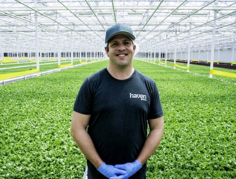 CEO Jay Willmot 