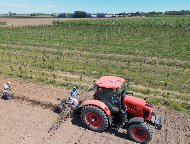 Photo by Jeff Tribe. 