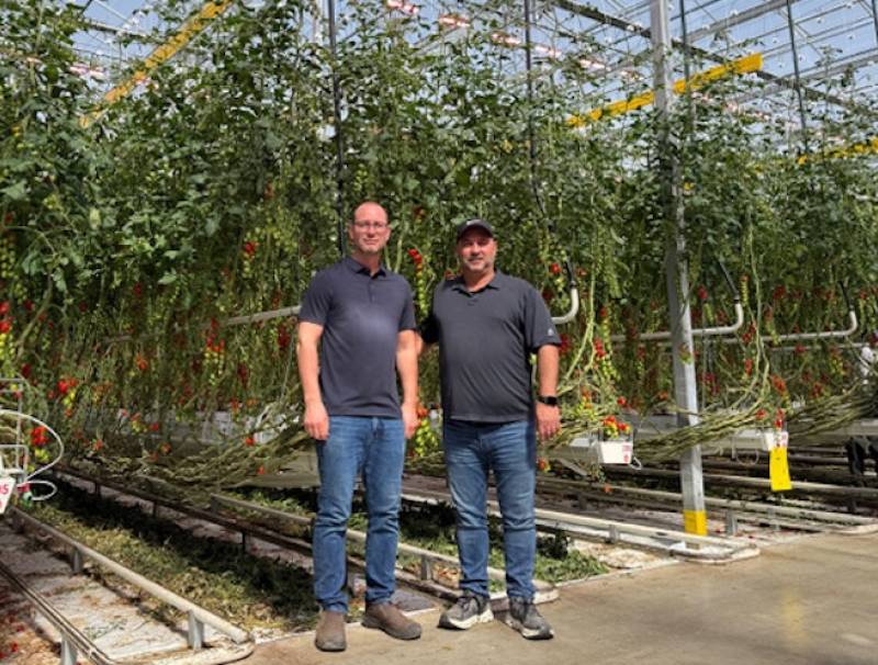 Brothers Rudy (left) and Albert Mastronardi, are relieved to have a tomato crop ready to harvest in mid-March near Kingsville, ON