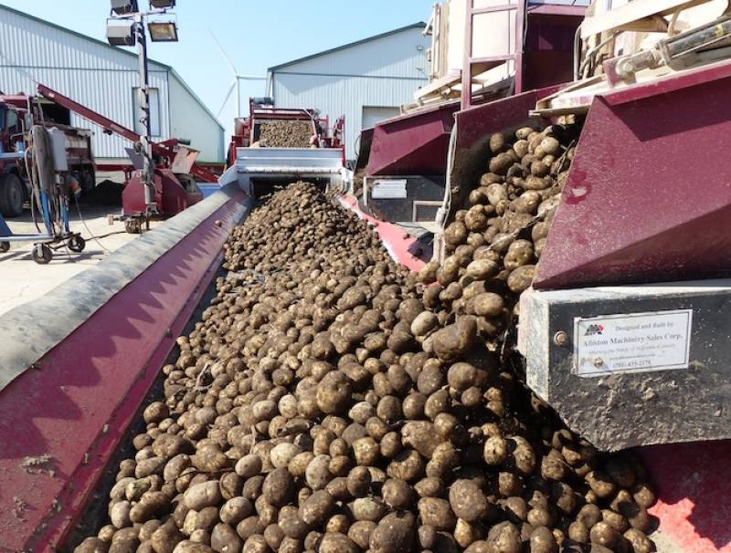 Photo courtesy of Eugenia Banks.