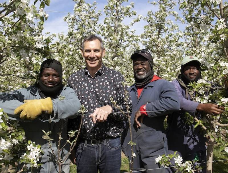 L-R: Orane Walters, Robert Shuh, Dave Brown and Maxroy Messam at Shuh Orchards near Elmira, Ontario.