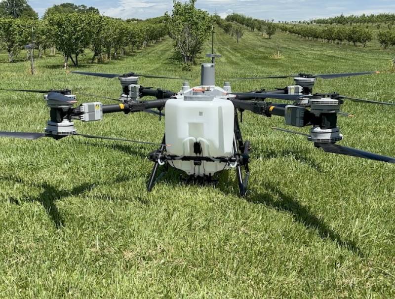 Drone pictured in demonstration at Ontario Hazelnut Association field day.  