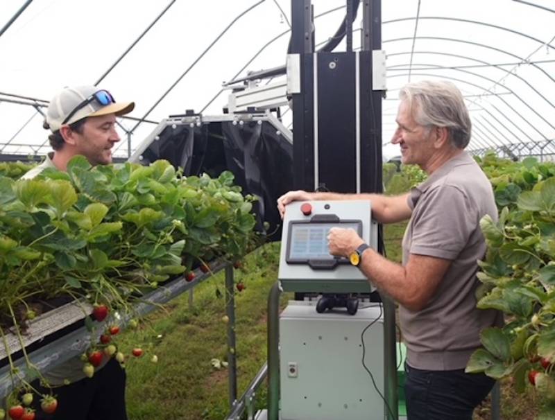 Berry grower Kevin Howe (left) discusses progress of field trials at his Aylmer, Ontario farm with Konrad Konnerth, CEO of KONNEXIO.